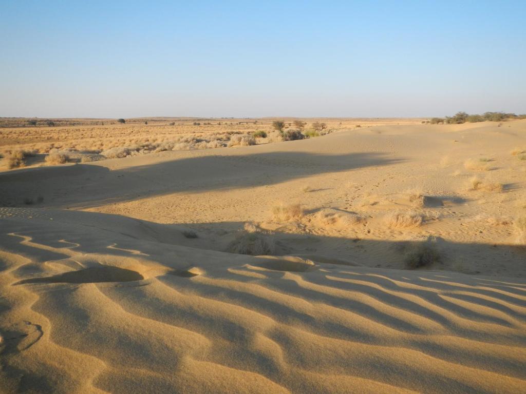Hotel Renuka Jaisalmer Bagian luar foto